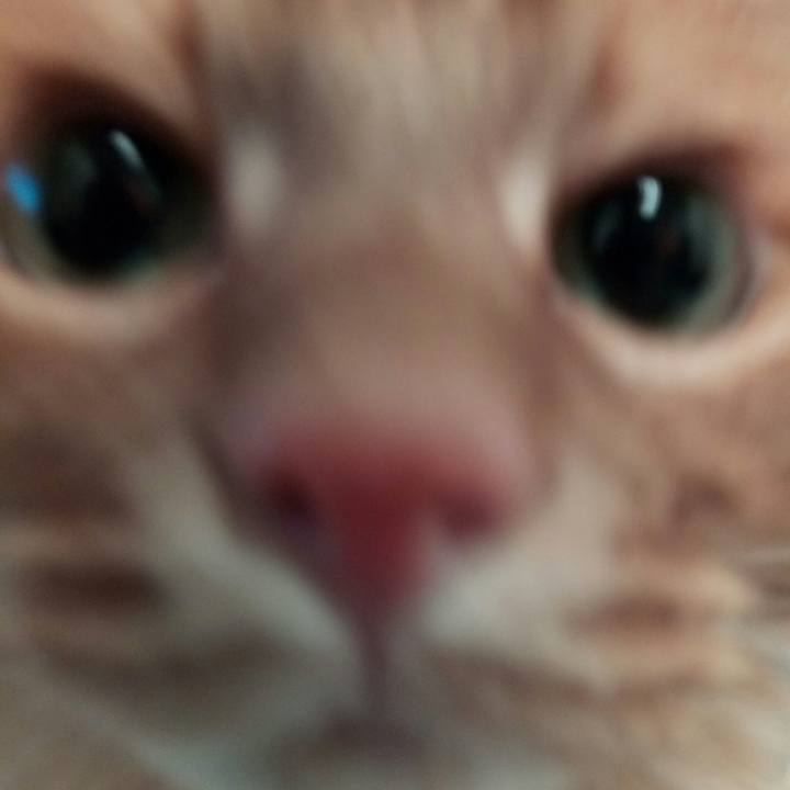 5ddde0e7 b192 4060 ba4e 279682e3faa6