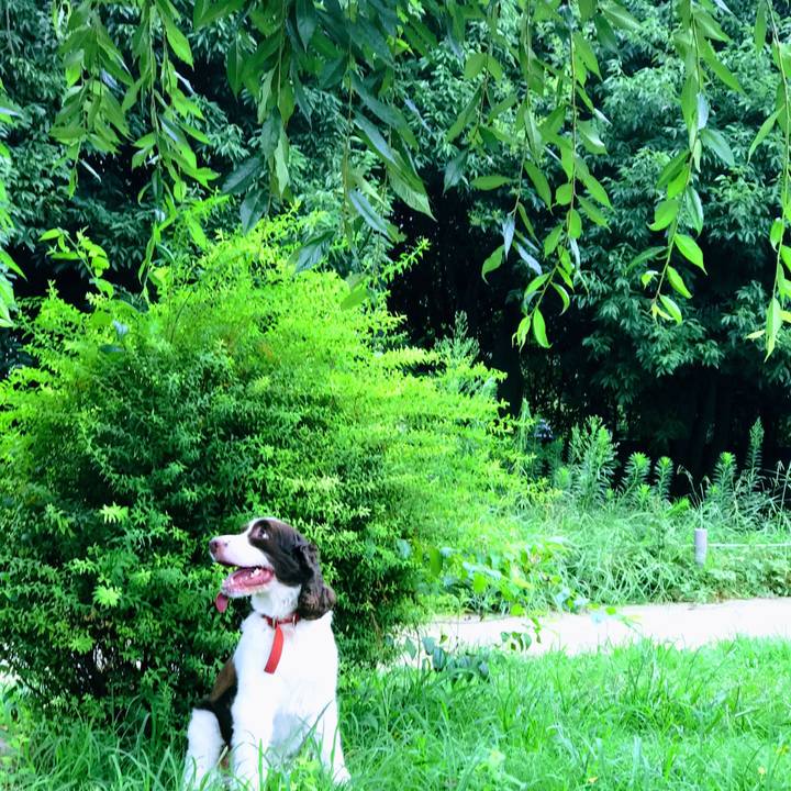 5dde1adb 3441 4632 a443 f6aea4c7cb95