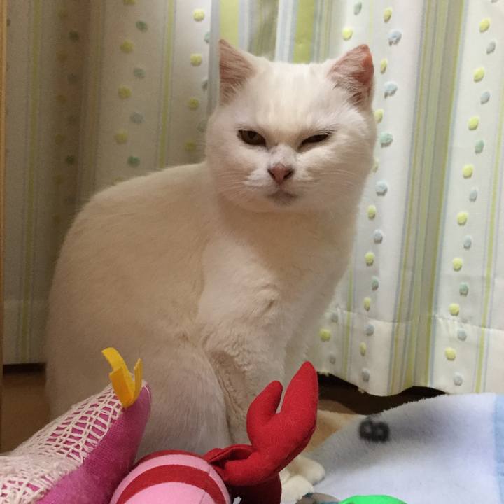 5dde9e1f b52f 43e7 9cf7 06771c8a7815