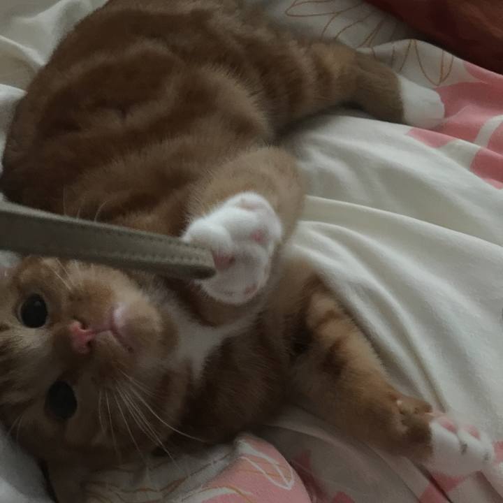 5ddf1bec 0726 4097 8b62 6d6793e9f195