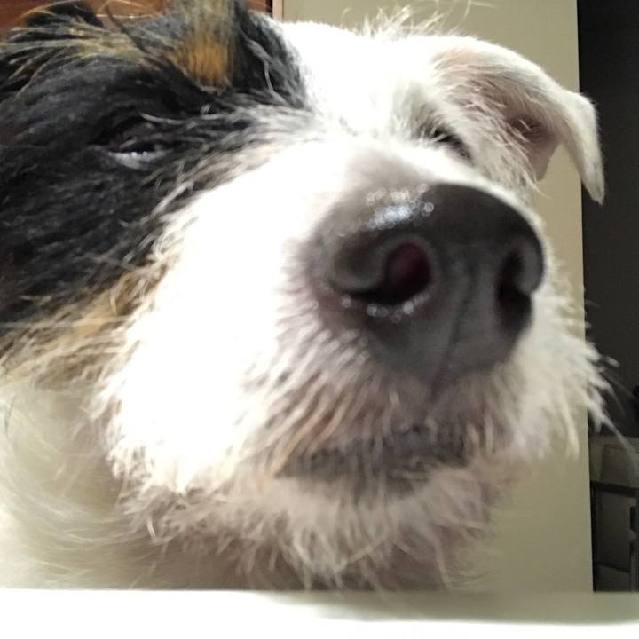 5de0164d 5398 4cf4 a60d 4a39adac726a