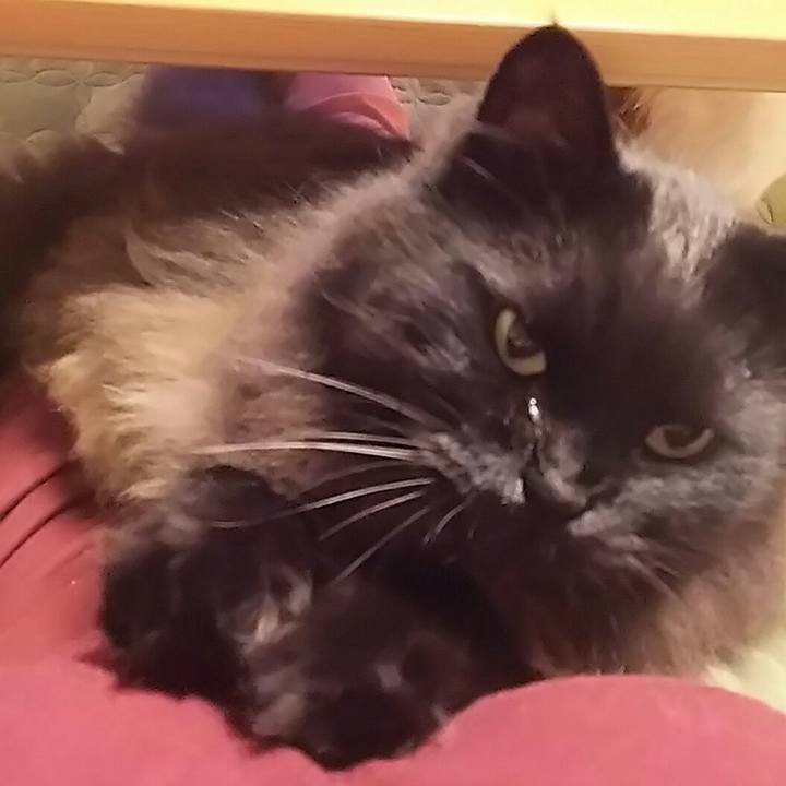 5de040d5 b48b 4814 9d8d a632823e952b