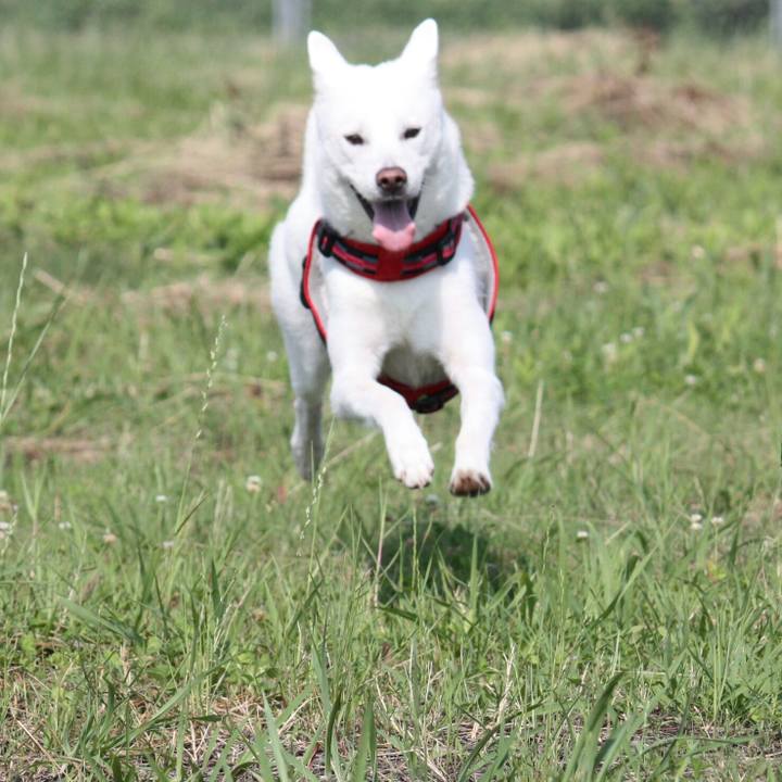 5de077f1 ccee 4115 8bcb 16bab3294226