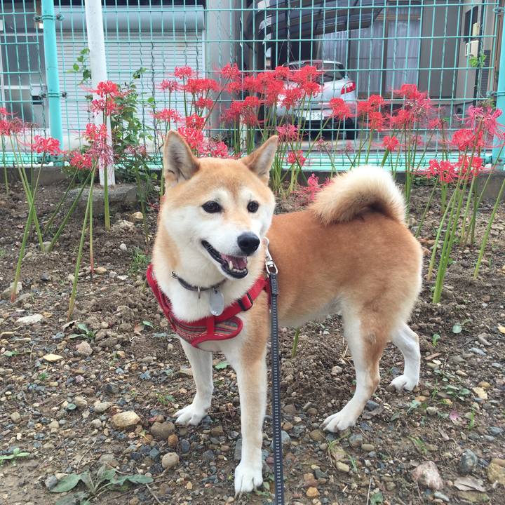 5de09a61 c724 4b93 9176 7e079bd177ff