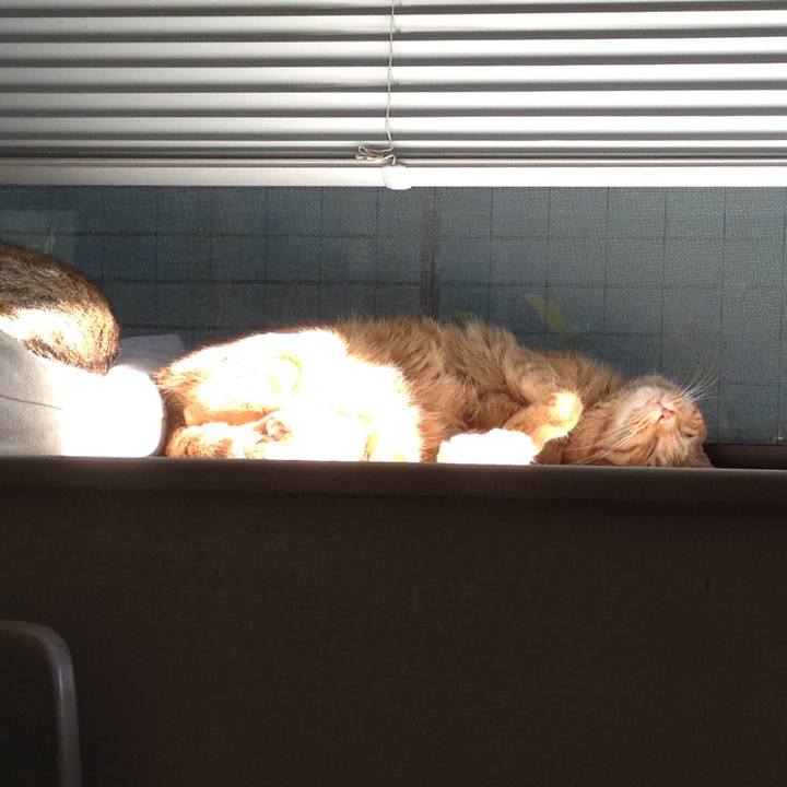 5de0a7f3 1e1a 4e34 a0d6 1065be40c6e4