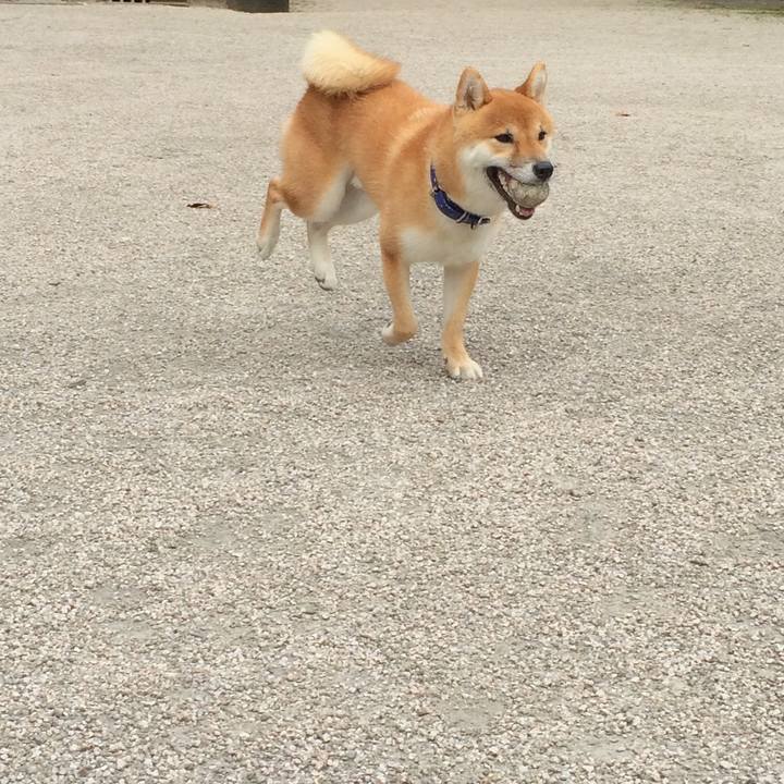 5de13c8b 7440 4f70 91c5 4808e9a28b46