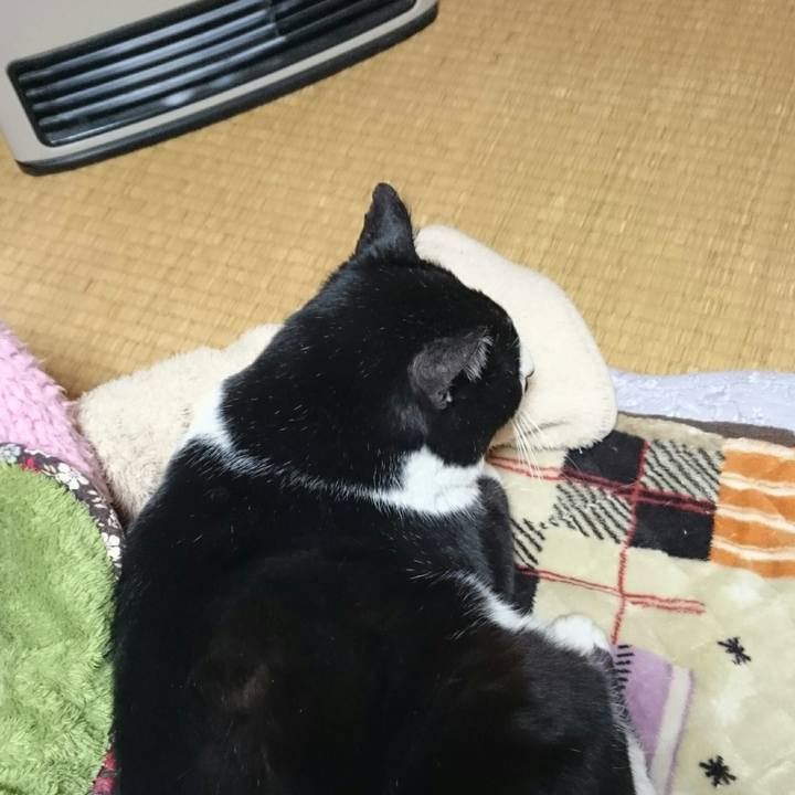 5de18145 c51f 442b 98a2 b3ae0df2ba46