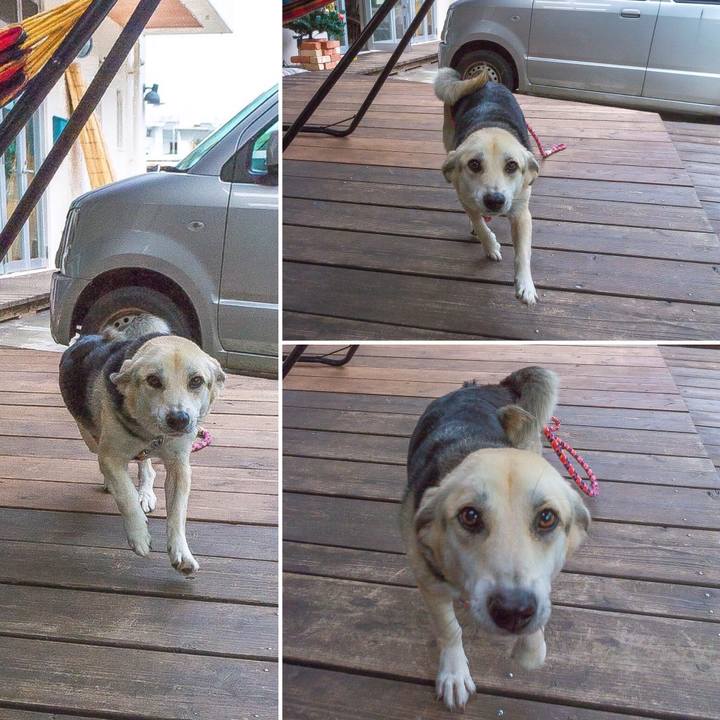 5de1d13c 2bc3 4d59 aebf f10e68dfdb7d