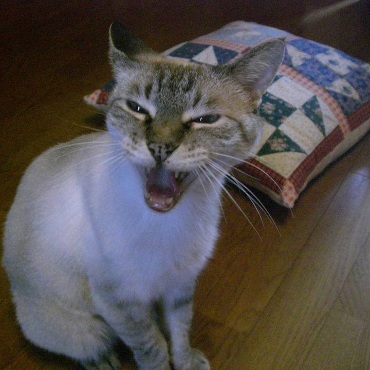 5de2d9fa b245 47a1 84ca b482f4e4c68f