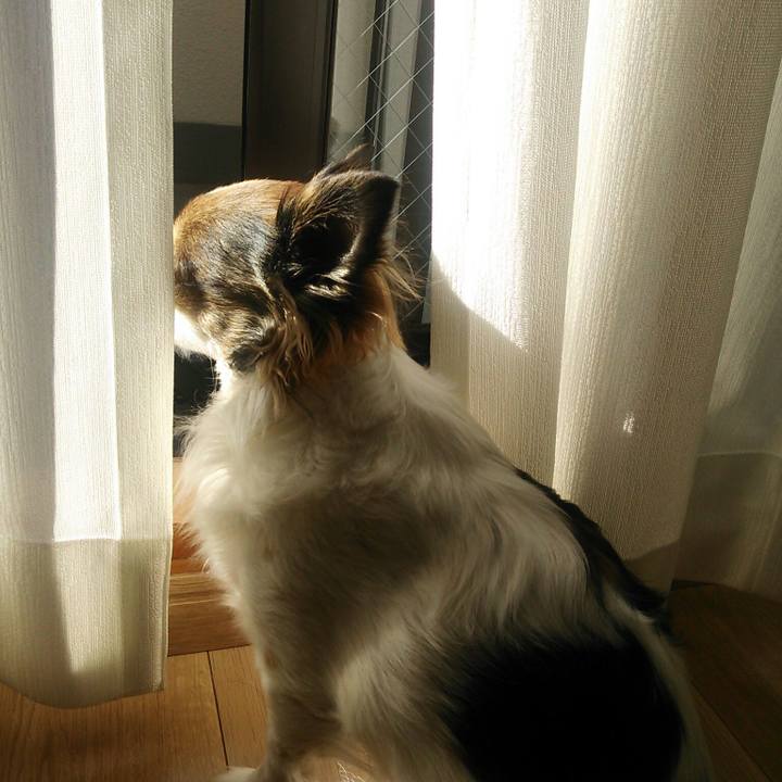 5de2f49b 9655 4ba4 a9ad 88dbfa370347