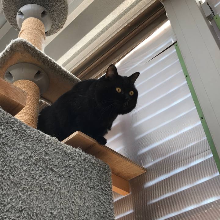 5de31b98 d8bb 42d6 be4c 3d28b4f698ef