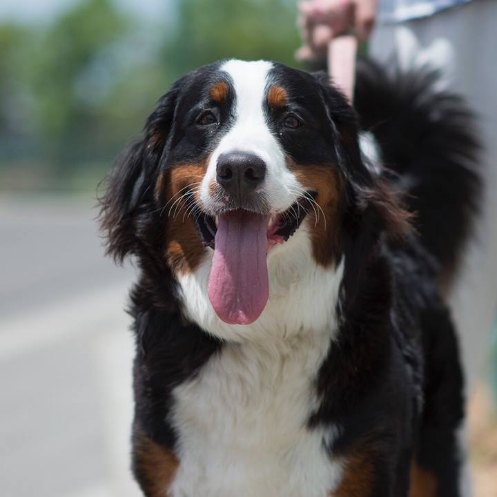 5de4b325 fbbc 43fd 879f c99fb29677c5