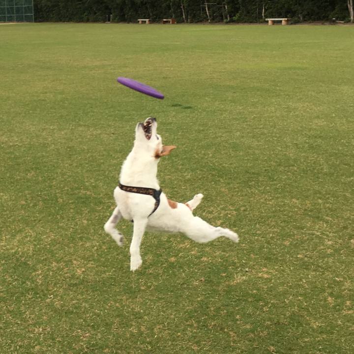 5de4e320 57c0 47e3 93db be25da3278a8