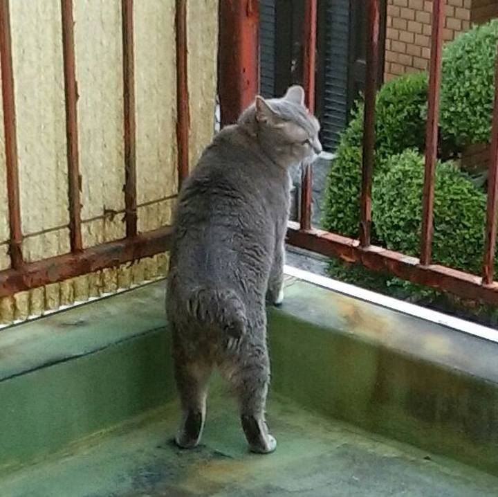 5de5f6fd 34de 4289 8604 b3ba13cc54d4