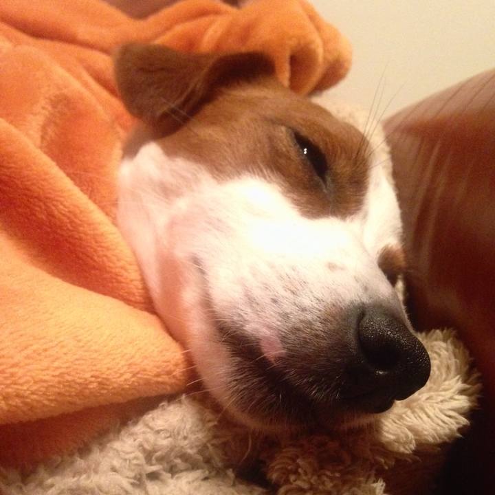 5de645b8 0c08 4762 99be 8e7aac6c0014