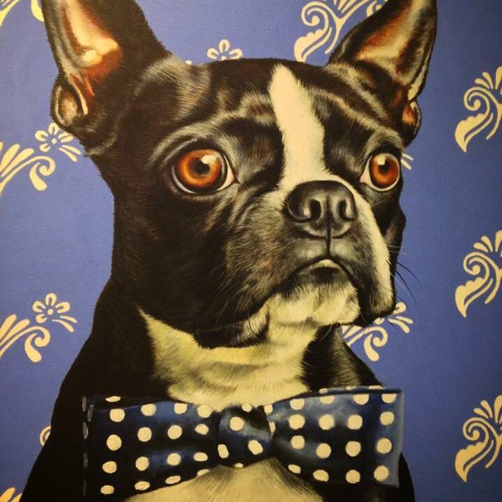 5de64c9c 1348 43bb a837 6e4d420755a4