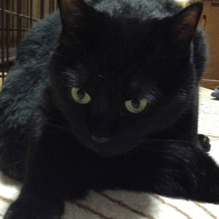 5de7029b f12b 4b58 a5ee 1f3a582c11b1