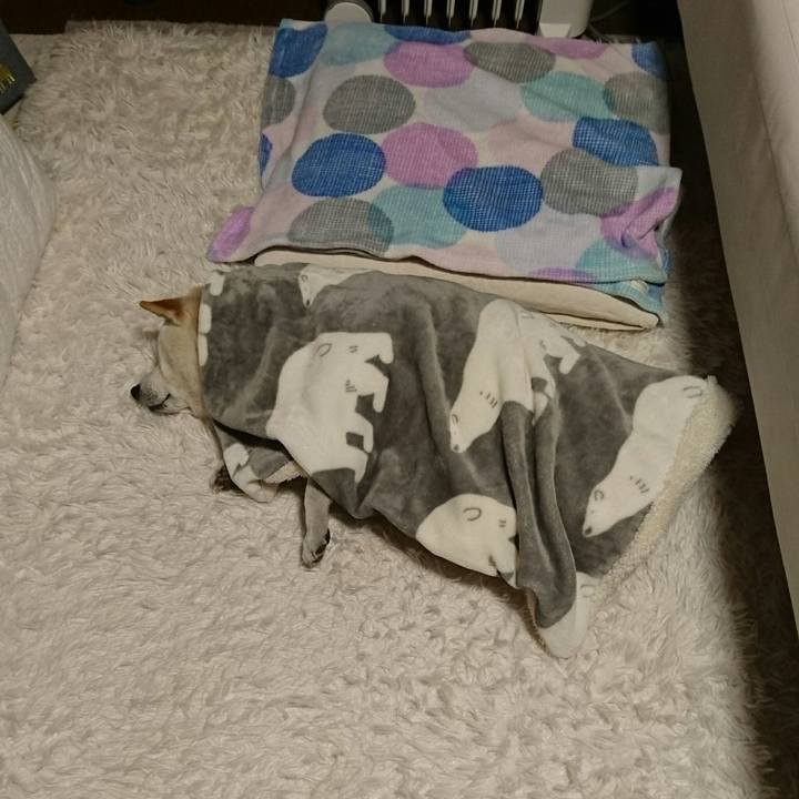 5de78827 7c4c 4290 b80b e33b63081942