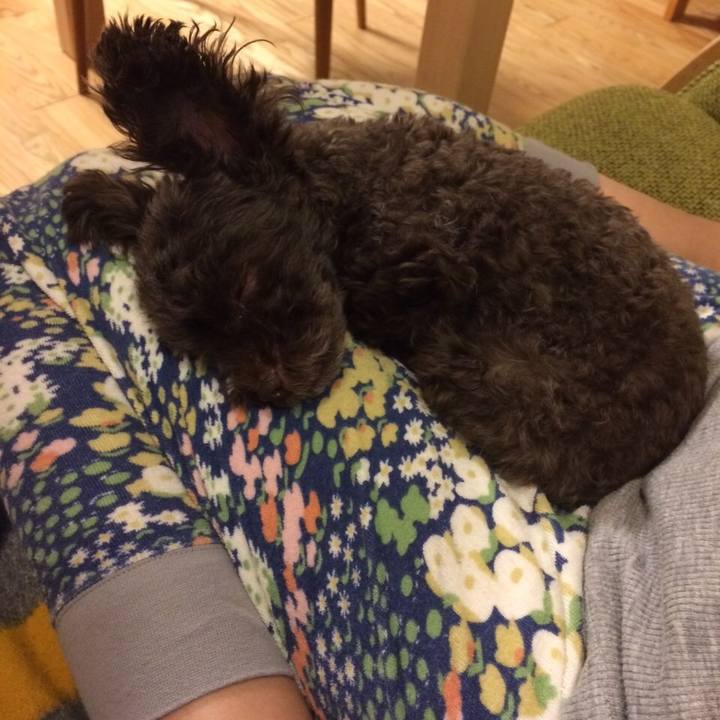 5de7958d b81c 4e8c b42f b922d07198e4