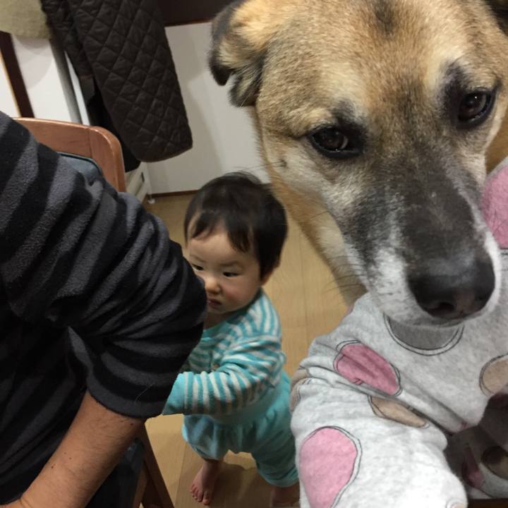 5de8001a e76a 45d8 82ea 10742e9a3ac0