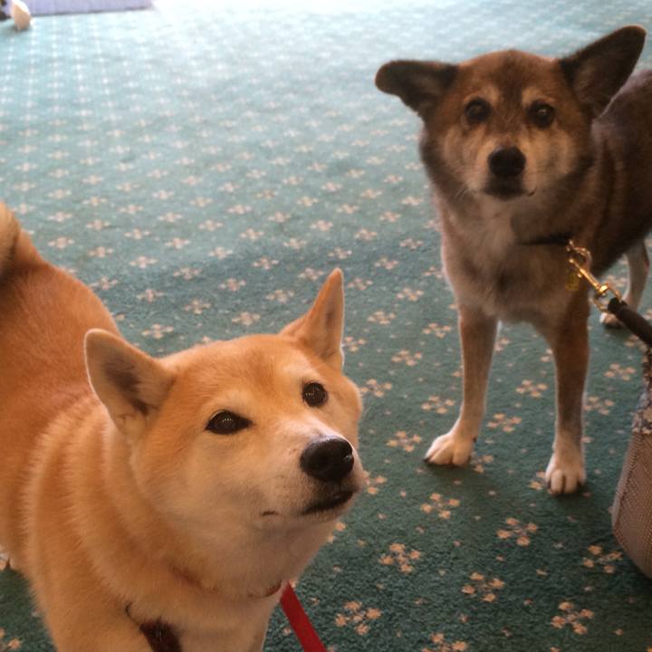 5de82419 c9b7 4e41 a9fb 326b7df2b991