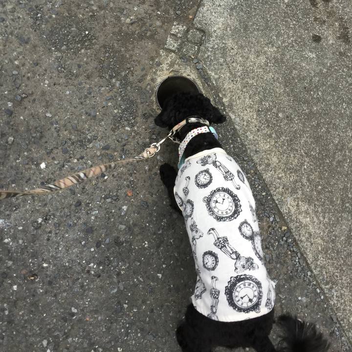 5de87068 270f 4479 be89 5d5f4bbb9ded