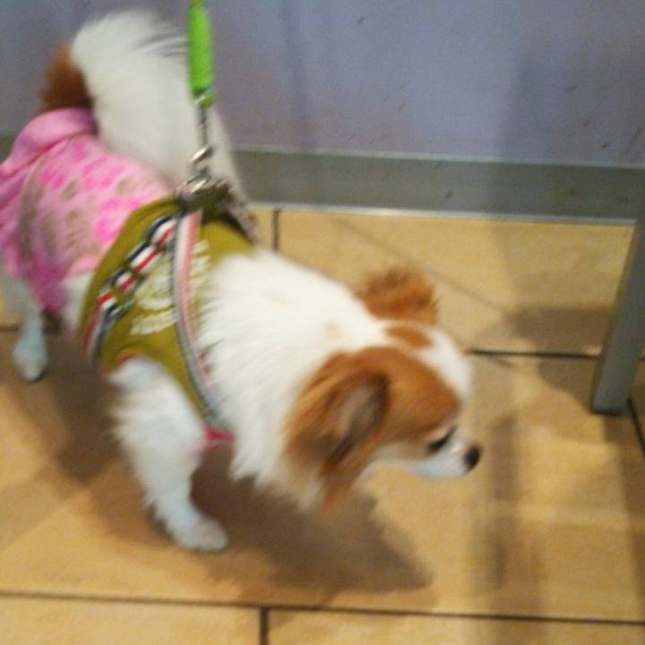 5de89726 6fe3 406c 9946 5a6ab889ad22