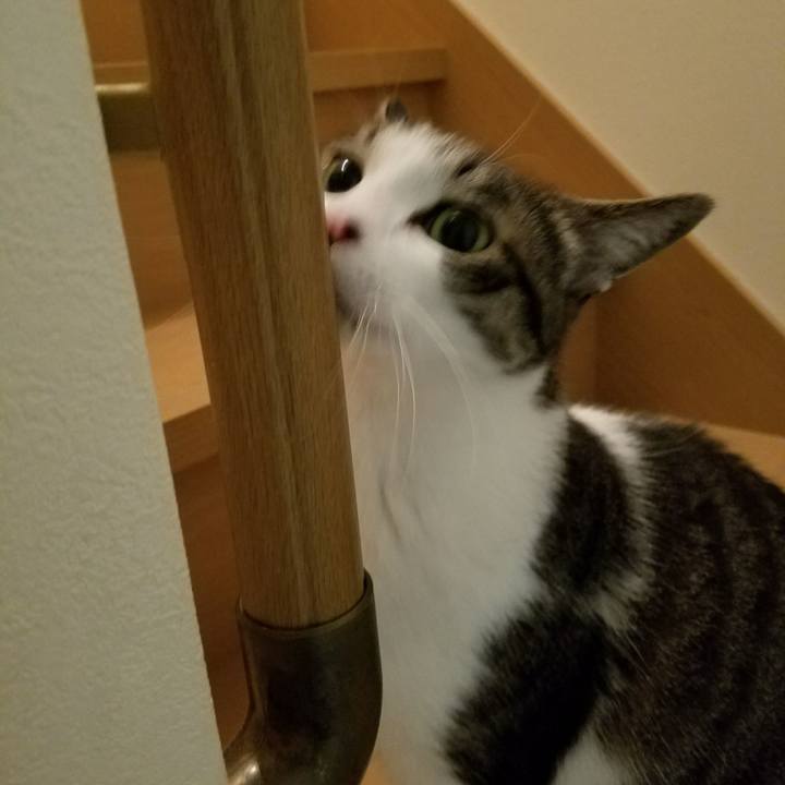 5de8fc2b c5ae 44b0 b015 2fb084caef7a