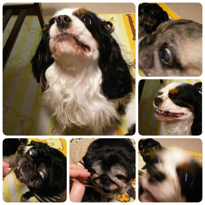 5dea065f f08f 4140 92a4 41103b269d7b