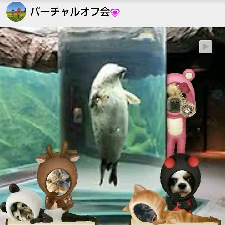 5dea6785 614e 4be9 92f4 1e56bd35c171