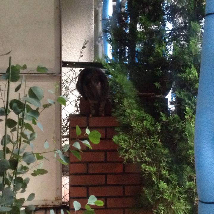 5dea815e 5678 4084 a373 e76f0c07c0e6