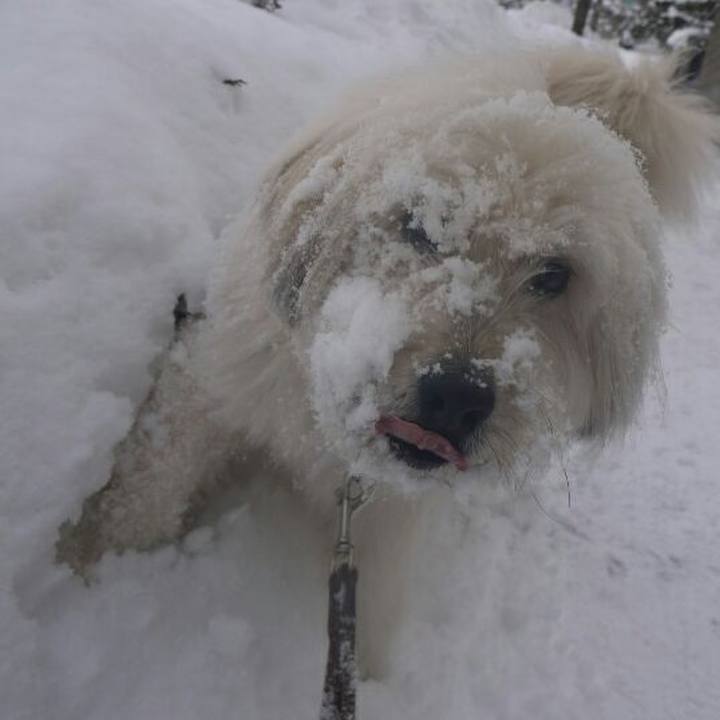 5dea9a95 e67a 4c2e 9f95 f88ce9f5891b