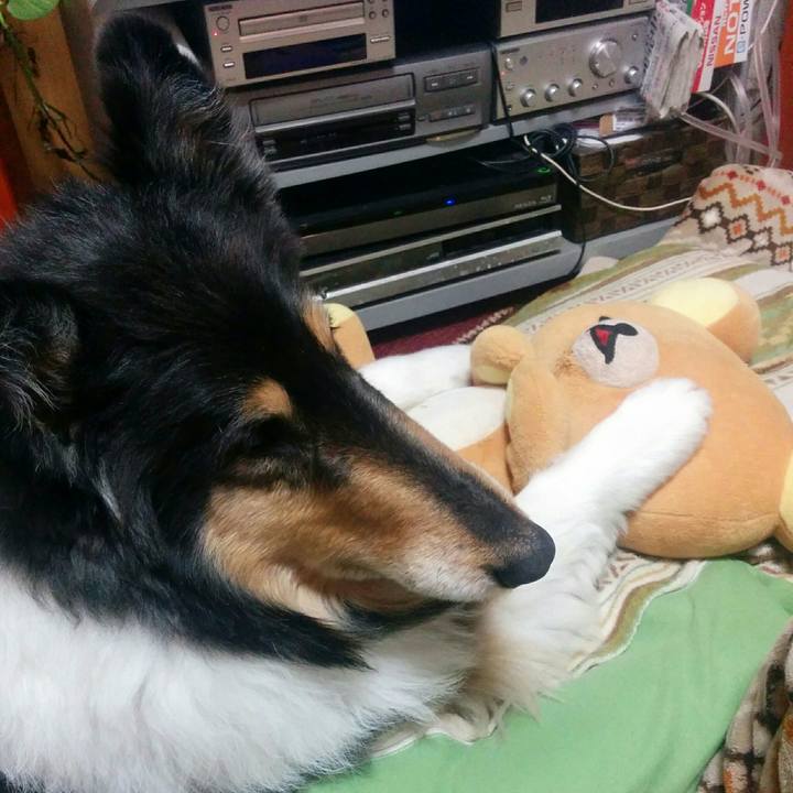 5deaaee5 9ac4 4529 92d3 c956189fb8af