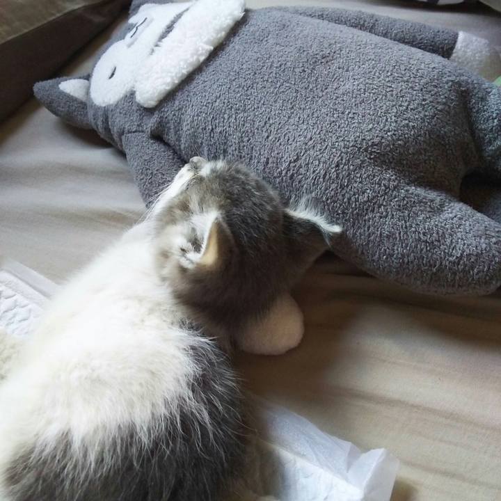 5deae601 a5ca 4849 aafa d82f83bc895f