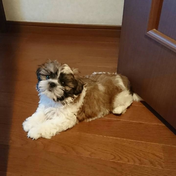 5deb1a2e f840 41c8 8592 a12c8d2547d7