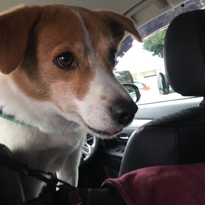 5deb98a3 1cea 4b81 9c7a f38fa61e997d