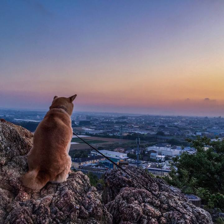 5deb9d55 422c 4d44 aca5 5365350e2ac4