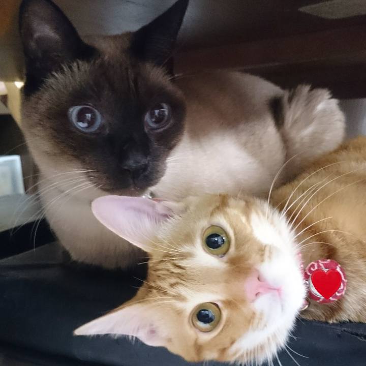 5debd78f c60c 4939 a863 43f5f9c3a0c8