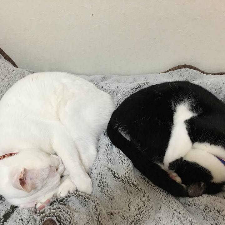 5dec05d0 5e20 4ffe acd5 cb6640090690