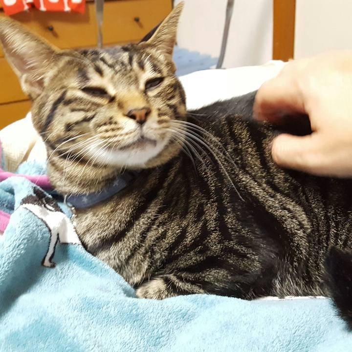 5dec23b3 1588 41da 8679 cbff3aa4eadb