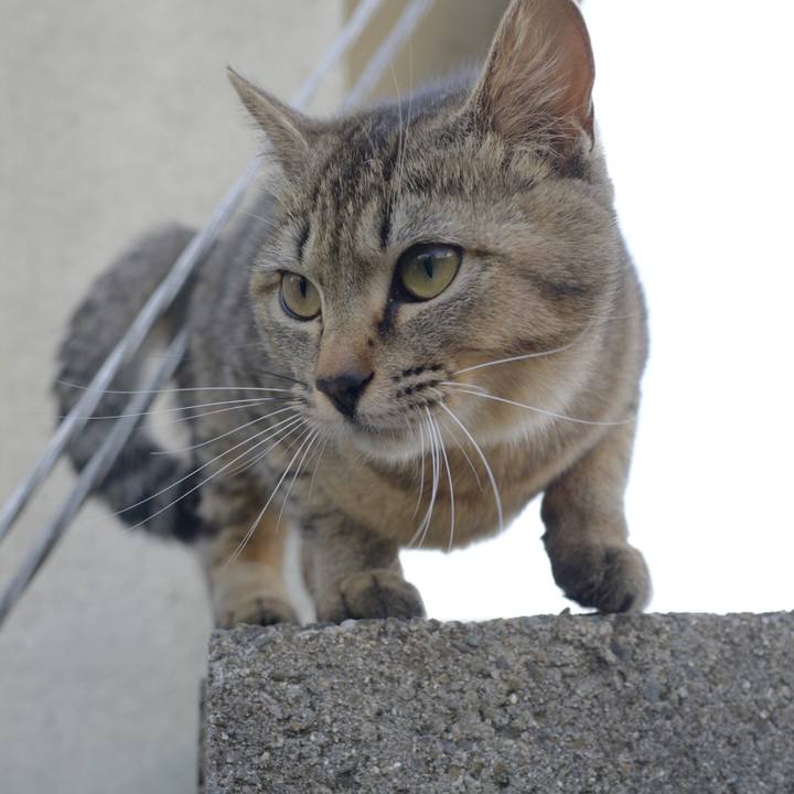 5ded155e 5a9f 48c2 b0df 6d295bc67841