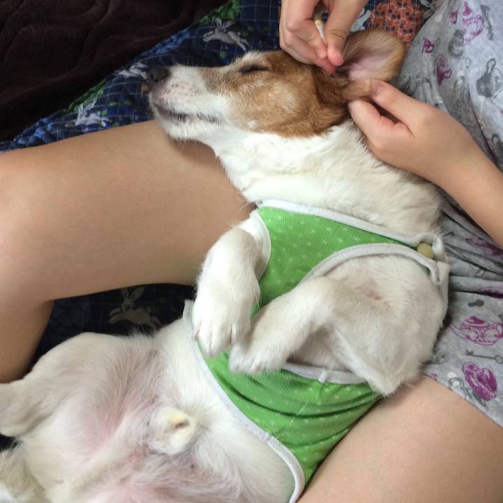 5ded33d7 50a5 45de 97a4 26d6b1ec6c04