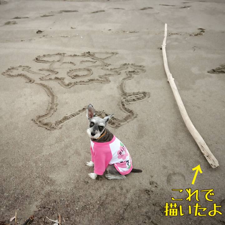 5ded52c6 2ef7 4eba b638 3a73cb81a119