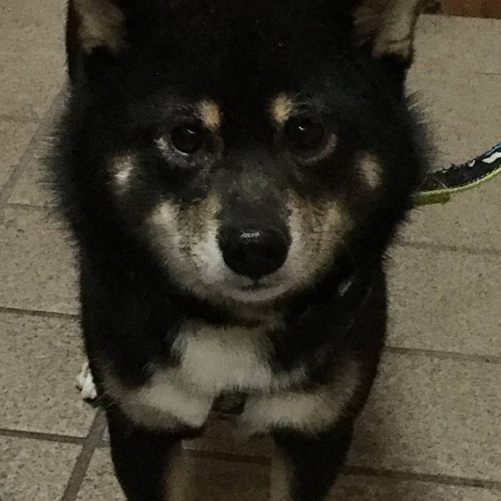 5dedb897 ae0b 4792 b77b d158dc1abf64