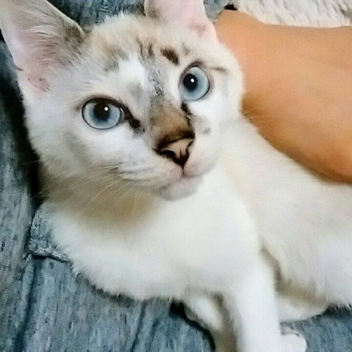 5dedc59e 1409 47aa 9fe8 6ba0892e95d8