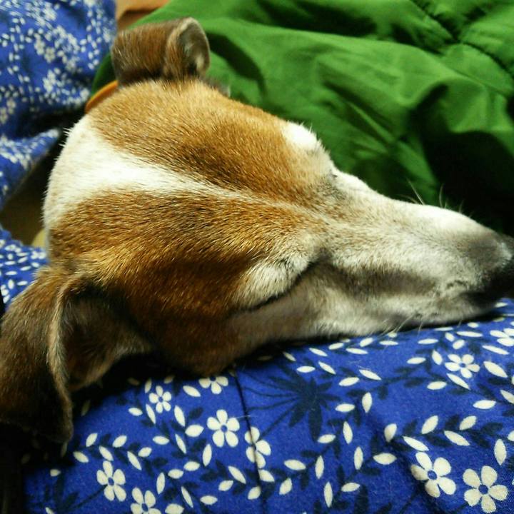 5dee6a73 772d 4026 a742 b7542d17cb24