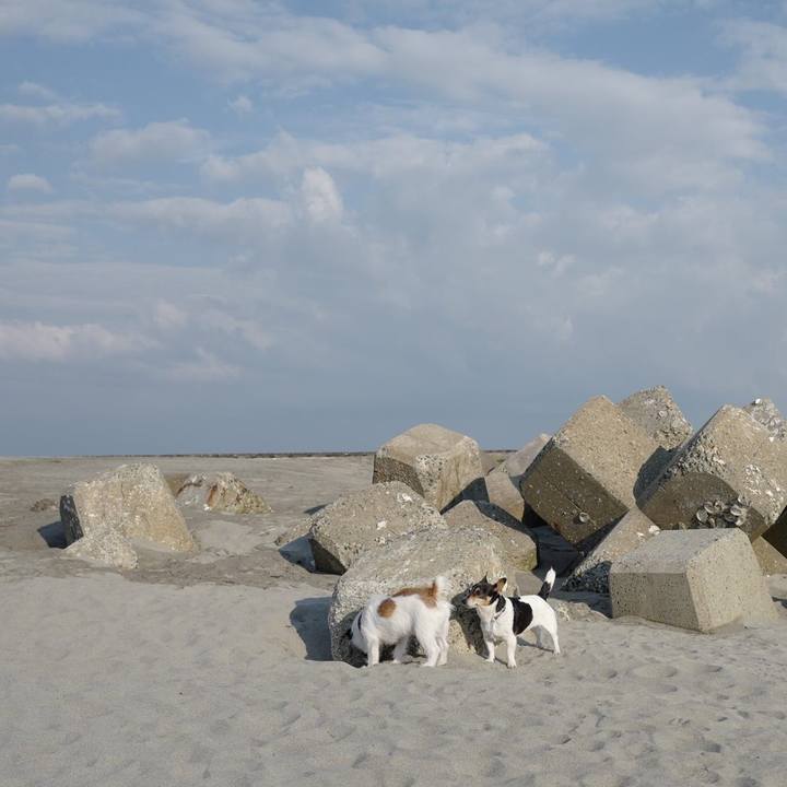 5dee96a4 6d31 4257 96c6 d8c15b23f517