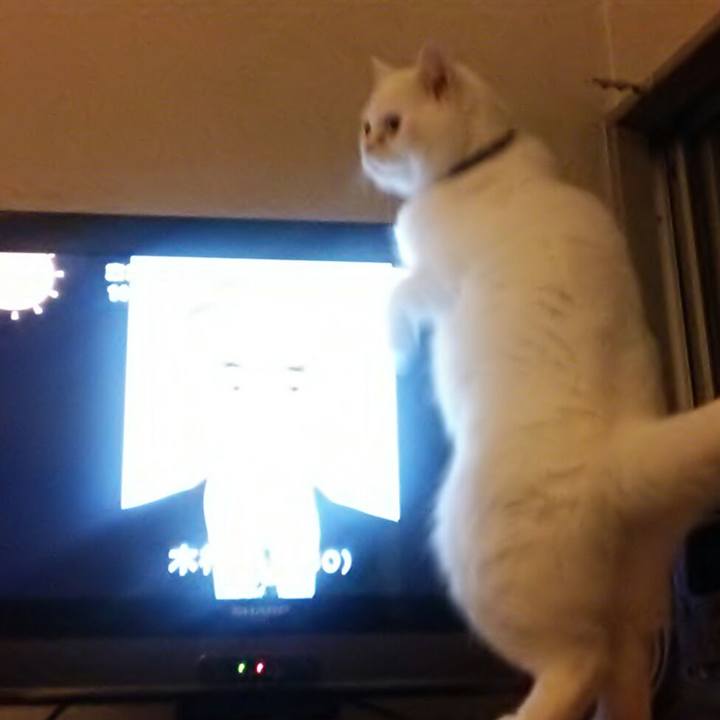 5deede38 c4c0 4cc0 9c6d 20e8806e3c3d