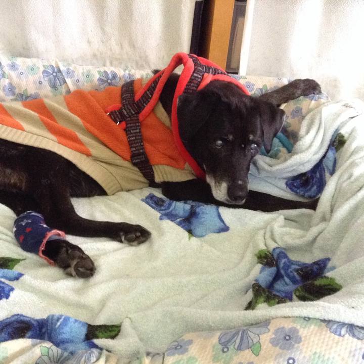 5deefa79 538a 46a6 8005 30832d777e1a