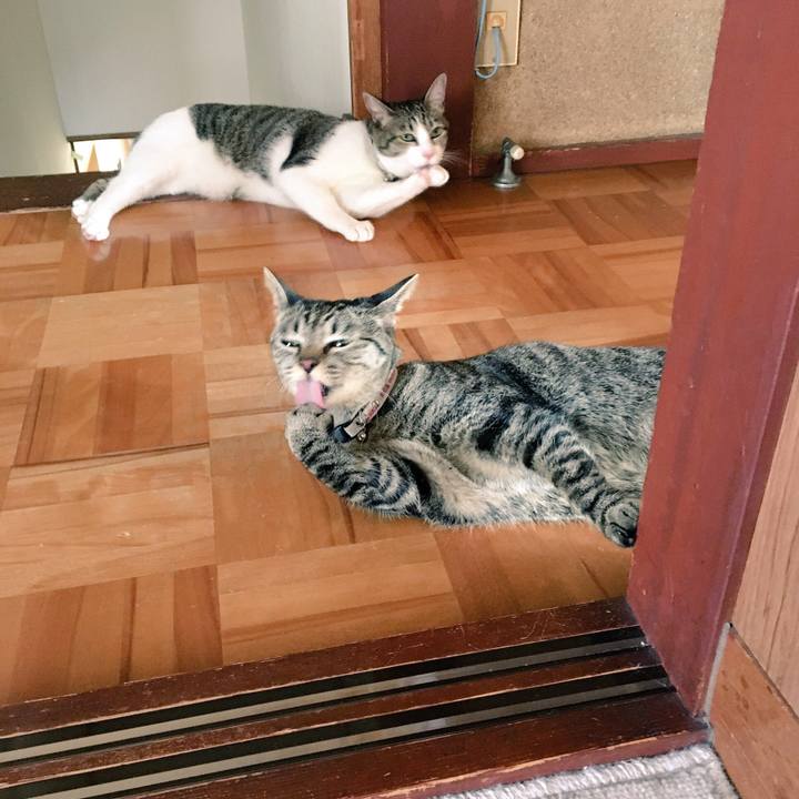 5def2e86 3936 46d2 bce0 246d6d3d8863